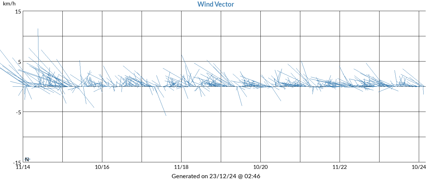 10 Years wind vector